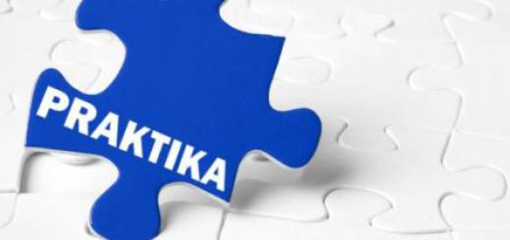 fakulipip5027 Производственная практика (профессиональная практика) 01.ПОБ.22.6