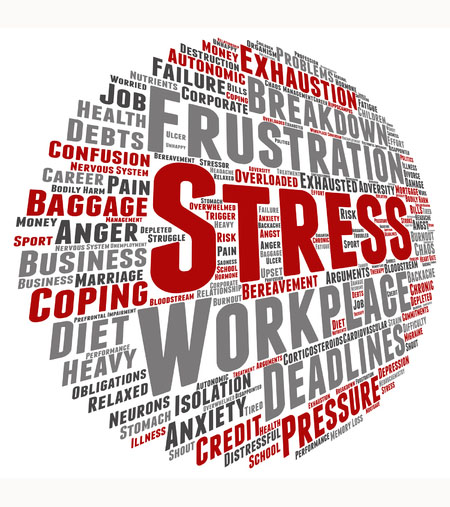 fakulpsych480 Стресс-менеджмент 15.ПО-ЗМ.24.ПКС(СПДОТ).1